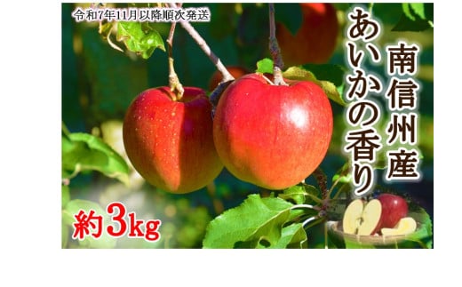 【011-87】令和7年11月以降発送　幻のりんご　あいかの香り　約3キロ　信州が生んだ希少なりんごです（りんご・リンゴ・林檎）