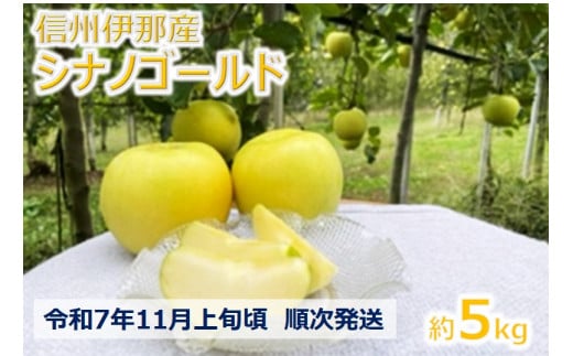 【012-14】令和7年11月上旬発送　日持ちもよく、大人気、シナノゴールド5キロ（りんご・リンゴ・林檎）