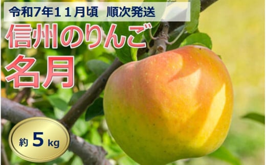 【012-55】令和7年11月ごろ発送　信州のりんご　名月　約5kg