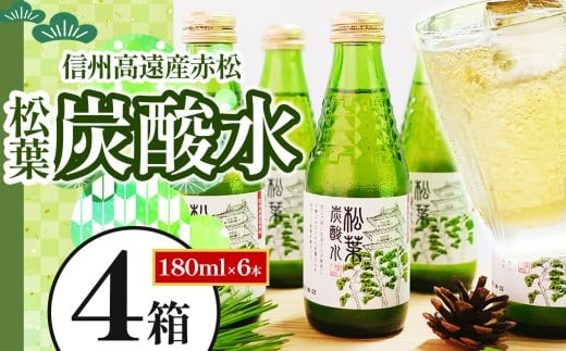 信州高遠産赤松:松葉炭酸水180ml×6本4箱 | 長野県 伊那市 松葉健康法 松葉 高遠 高遠里山の風 里山 再生 保全 松 松葉 炭酸 森林浴 信州 長野県産 【036-08】