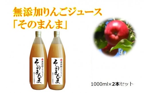 りんごジュース 無添加！ 100% そのまんま りんごジュース 2本入り | 飲料 ジュース 果実飲料 りんご ジュース 無添加 ストレート 長野県 伊那市