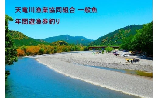 天竜川漁業協同組合　一般魚　年間遊漁券|鑑札 渓流 釣り券 漁業券 入漁券 一般漁 ウグイ イワナ ワカサギ アマゴ ほか アユ FISHPASS アプリ インストール 必要 伊那市 信州 体験 ふるさと納税【037-10】