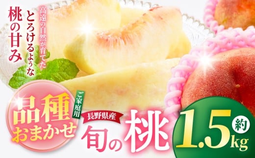 高遠産 桃 1.5kg おまかせ３品種｜桃 モモ 長野県 長野県産 信州産 伊那市 年内発送 信州の桃 信州 長野 伊那市産 上伊那  みずみずしい ジューシー 約1.5kg   産地直送 フルーツ 果物 デザート おやつ【010-82】