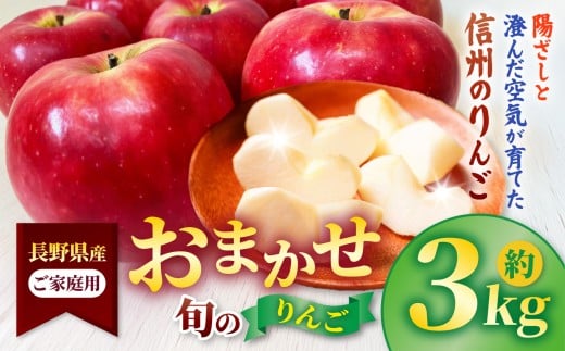 信州高遠町産 ご家庭用 りんご 約3kg 品種おまかせ|りんご 果物 フルーツ 信州 林檎 家庭用 伊那 長野県 ふるさと納税【009-42】
