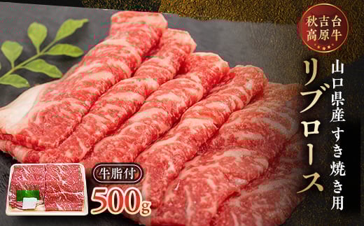 山口県産 秋吉台高原牛 リブロースすき焼き用 500g_ 牛肉 肉 和牛 リブロース 国産 すき焼き用 ビーフ 山口県 高原牛 秋吉台 交雑種 黒毛和種 無角和種 和牛間交雑種 冷凍 グルメ 贈答 ギフト 500g 産地直送 【1232609】