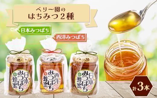 海の見える小さなベリー園の日本みつばちと西洋みつばちの「ハチミツ」<非加熱>の食べ比べセット(C)【1452016】
