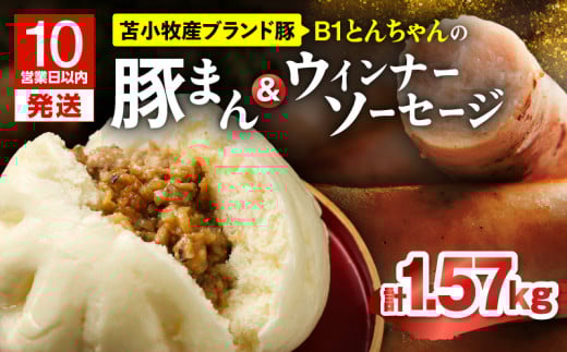 【10営業日以内に発送】B1とんちゃんの豚まん 9個、ウィンナーソーセージ 4袋セット　T010-002-03
