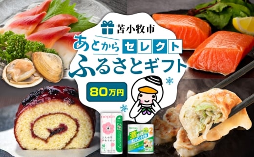 あとからセレクト【ふるさとギフト】80万円 T000-000-18
