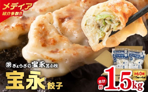 【ぎょうざの宝永】宝永餃子375g入(15個入)×4袋 合計1.5kg T004-001