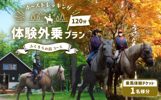 ホーストレッキング 体験外乗プラン 120分 「ふくろうの森コース」 T014-003
