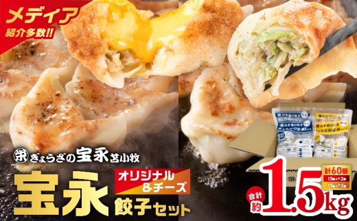 【ぎょうざの宝永】宝永餃子375g(15個入)×2袋&チーズ餃子375g(15個入)×2袋セット 合計1.5kg T004-002