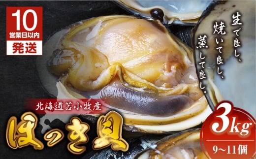 【10営業日以内に発送】北海道苫小牧産　ほっき貝　3kg（9～11個）　T032-001