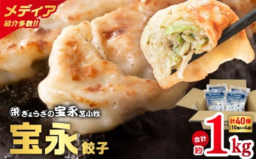 ぎょうざの宝永 宝永餃子10個入セット(宝永餃子10個入×4袋)合計1.0kg T004-003
