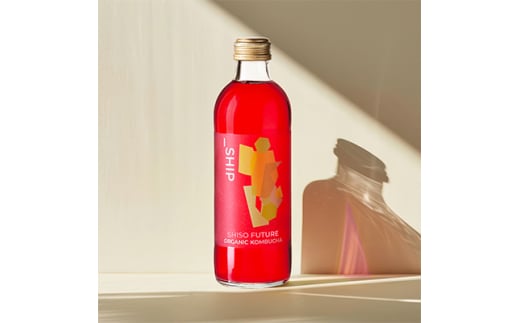 ＿SHIP KOMBUCHA SHISO FUTURE シソフューチャー (300ml×12本)_SHIP KOMBUCHA SHISO FUTURE シソフューチャー (300ml×12本)【1148440】