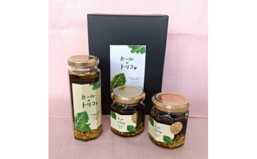 ケールのトリコ【1472218】