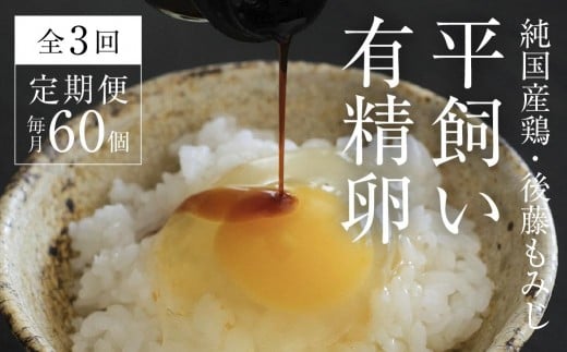 【全3回定期便】平飼い有精卵 60個《西粟倉村》【株式会社点々】t-SS-BpDA