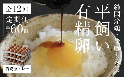 【全12回定期便】平飼い有精卵 省資源トレー 60個 《西粟倉村》【株式会社点々】t-SS-DrDA