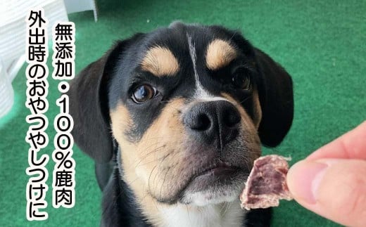 森のジビエ for PET 鹿モモ肉&肺(ラング)ジャーキーセット【小型・中型犬向け】ペットフード 犬 A-JK-A09A