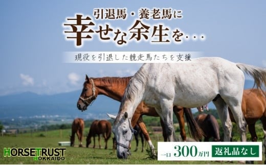 【引退競走馬 余生支援】北海道 岩内町 ホーストラスト北海道支援 300万円コース 引退馬 F21H-570z