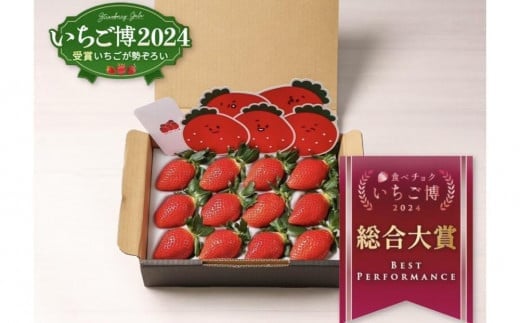 【いちご博総合大賞】やよいひめ 約400g ※2026年1月上旬～4月下旬頃に順次発送予定 ※沖縄・離島への配送不可