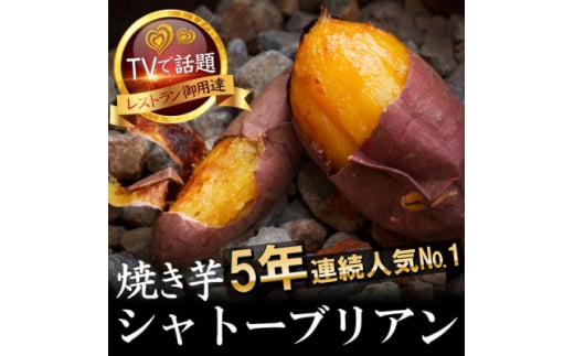 ＜驚異の最高糖度50度＞ギリギリまで糖化させた幻のシャトーブリアン焼き芋12月下旬～発送【1586925】