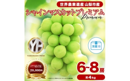 2026年度先行予約 フルーツ王国山梨 厳選 シャインマスカット 6～8房(約4kg) 2kg×2箱【1632338】