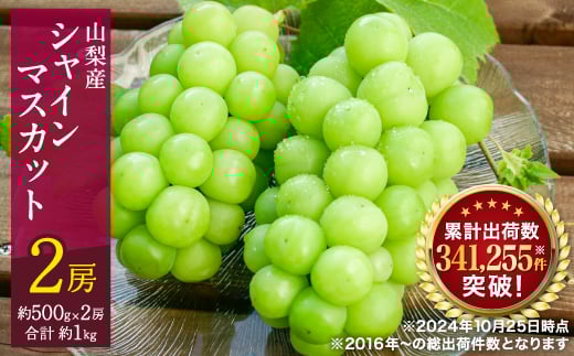 <2026年発送 先行受付>シャインマスカット 2房 (約1kg) 山梨県産フルーツ 人気のぶどう_フルーツ 果物 くだもの シャインマスカット ぶどう 葡萄 マスカット 農家直送 朝採れ 人気 送料無料【1017347】