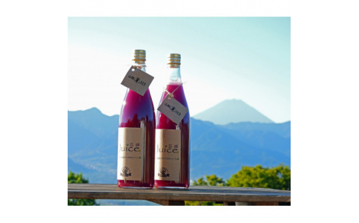 ぶどうジュース 山賊ぶどう 巨峰 100% ストレートジュース 720ml 2本 セット_ ふるさと納税 ふるさと ジュース フルーツジュース 果汁100% ストレートジュース ブドウ ぶどう 葡萄 人気 美味しい 山梨県 山梨市 山梨 送料無料【1277598】