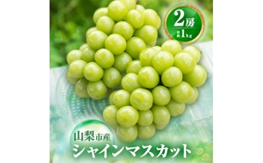 ＜2026年発送 先行受付＞農福連携 シャインマスカット2房(合計1kg程度)【1271031】