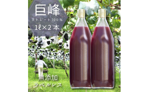 ぶどうジュース 1000ml 2本 葡萄の産地からお届けする 巨峰 100%贅沢ストレートジュース_ ふるさと納税 ふるさと ぶどう ブドウ 葡萄 ジュース ブドウジュース フルーツジュース フルーツ 果物 山梨県 山梨市 山梨 ギフト プレゼント 贈り物 【1364407】