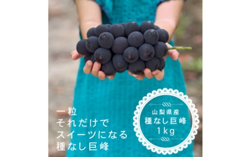 ＜2026年発送分先行受付＞巨峰ぶどう(種なし) 　2房　1kg 以上　産地直送　山梨県山梨市牧丘産【1535963】
