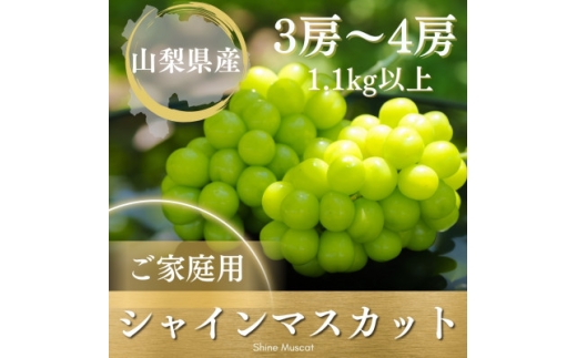 ＜2026年発送 先行受付＞ご家庭用シャインマスカット 3房～4房1.1kg以上 山梨県 山梨市産【1535964】