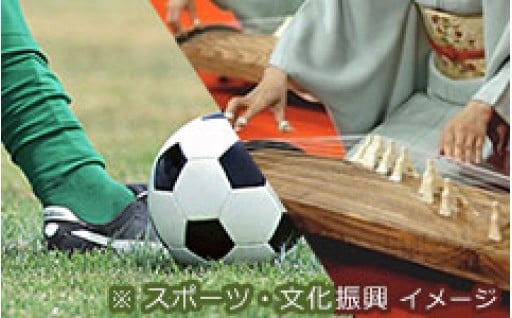 ③歴史文化・芸術・スポーツ支援事業