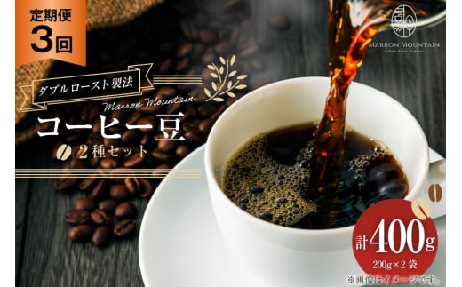 定期便 3回 コーヒー豆 2種セット 200g×2袋 [MARRON MOUNTAIN 埼玉県 小川町 311] 珈琲 ドリップ ダブルロースト製法 フルシティロースト