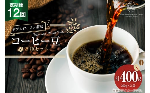 定期便 12回 コーヒー豆 2種セット 200g×2袋 [MARRON MOUNTAIN 埼玉県 小川町 309] 珈琲 ドリップ ダブルロースト製法 フルシティロースト