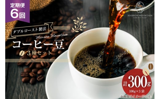 定期便 6回 コーヒー豆 3種セット 100g×3袋 [MARRON MOUNTAIN 埼玉県 小川町 307] 珈琲 ドリップ ダブルロースト製法 フルシティロースト