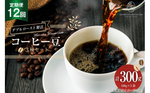 定期便 12回 コーヒー豆 3種セット 100g×3袋 [MARRON MOUNTAIN 埼玉県 小川町 306] 珈琲 ドリップ ダブルロースト製法 フルシティロースト