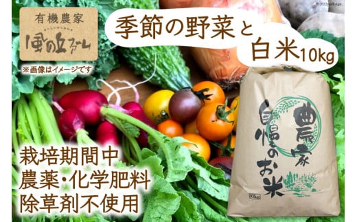 【季節により常温11~3・冷蔵4~10】有機農家の季節の野菜と白米10kgのセット / 風の丘ファーム / 埼玉県 小川町 [020] 野菜 やさい 米 お米 こめ コメ 精米 白米 セット 詰め合わせ