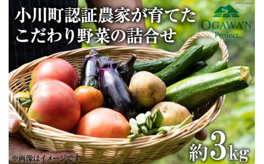 野菜 詰め合わせ 約3kg OGAWA'N [JA埼玉中央 埼玉県 小川町 135] やさい セット 野菜セット 詰合せ