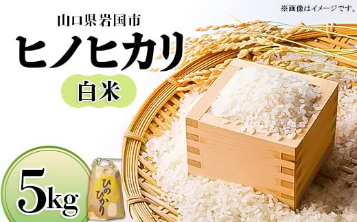 山口県岩国産 白米(ヒノヒカリ) 5kg【yama-moto-farm(株)】