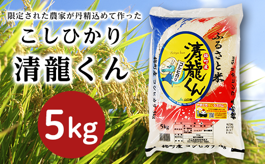 清龍(せいりゅう)くん「こしひかり」5kg【山口県農業協同組合】