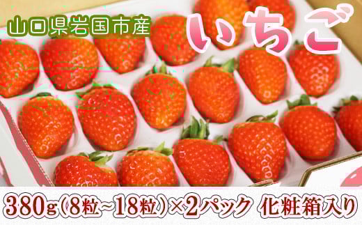 山口県岩国市産「いちご」2パック（1パック380g（8粒～18粒）×2）化粧箱入り ※プラス個包装2個