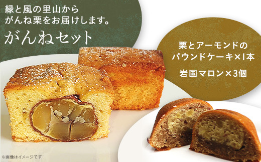 がんねセット(栗とアーモンドのパウンドケーキ×1本、岩国マロン×3個)【里山カフェ コンディトライHAKU】