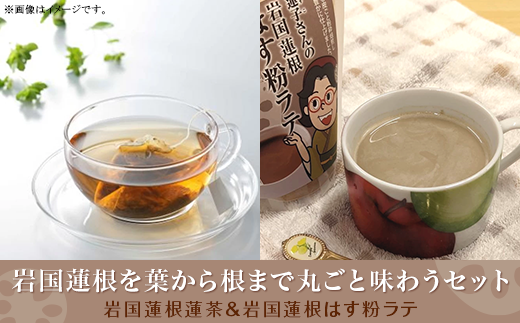 岩国蓮根を葉から根まで丸ごと味わうセット(岩国蓮根蓮茶&ミルクで飲む岩国蓮根はす粉ラテの素)【池本食品】