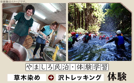 やましろ民泊・体験学習　『草木染め』『沢トレッキング』体験【やましろ体験交流協議会】