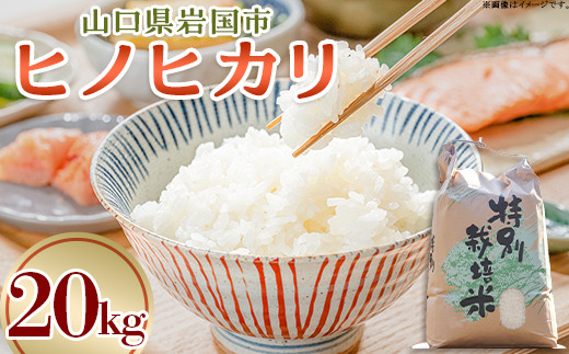 ヒノヒカリ 20kg 岩国市 美和町産