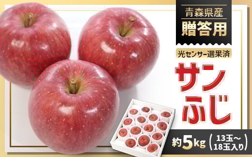 青森県産りんご「サンふじ」贈答用 約5kg【1635386】