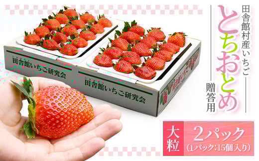 田舎館村産いちご とちおとめ<大粒> 贈答用【1637919】