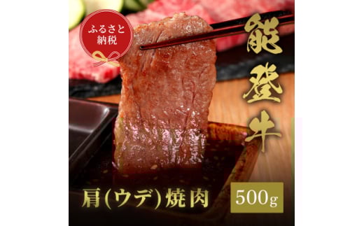 ＜和牛セレブ＞能登牛 牛肩(ウデ) 焼肉 500g(200g+300g)【1556786】