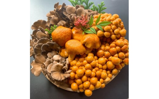 白山の幸(竹)【1259400】